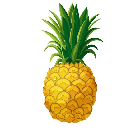Vector pineapple. Illustration pineapple tropical fresh fruit in cartoon styleのイラスト素材