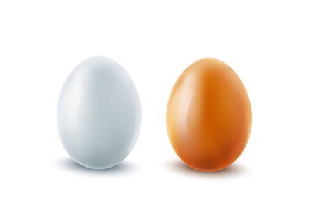 Realistic egg. Two whole chicken eggs, brown and white. Food vector.のイラスト素材