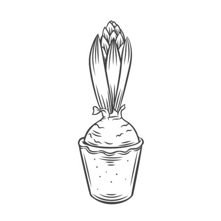 Hyacinth outline icon. Garden flower vector illustration.のイラスト素材