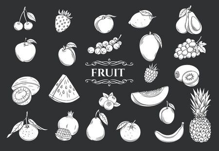 Fruit glyph icons set. Decorative retro style collection isolated fruits and berries for shop design. Vector illustration.のイラスト素材