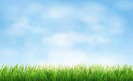 Field or meadow with green spring grass. Realistic horizontal landscape background with blue sky and lawn. Vector illustration.のイラスト素材