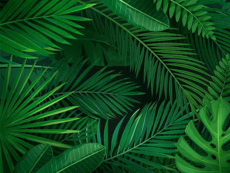 Tropical leaves horizontal background. Jungle exotic banana leaf and areca palm. Wallpaper screen summer tropical paradise. Vector illustration.のイラスト素材