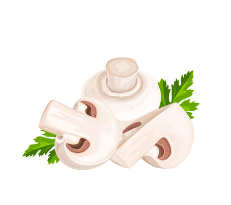 Fresh champignon mushrooms and parsley leaves, vector cartoon illustration. Composition of tasty vegan food ingredient isolated on white. Eco organic fungus whole and cut into slices.のイラスト素材