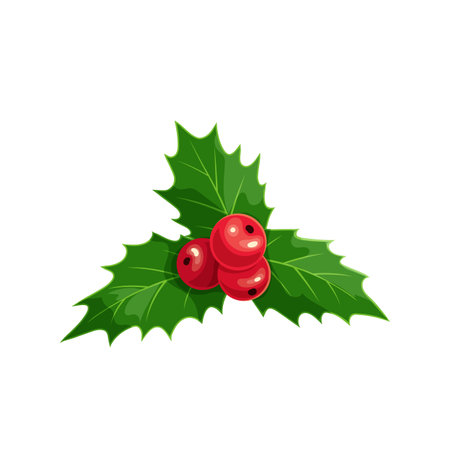 Christmas ilex with red berries. Traditional christmas holly berry design element. Vector illustration.のイラスト素材