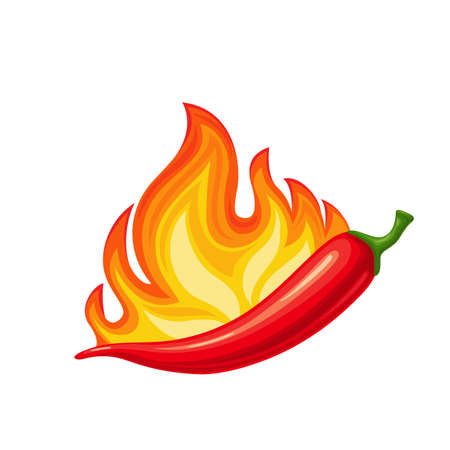 Chilli peppers with fireのイラスト素材