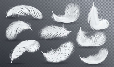 Falling white fluffy twirled feather setのイラスト素材
