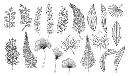 Line art tropical leavesのイラスト素材