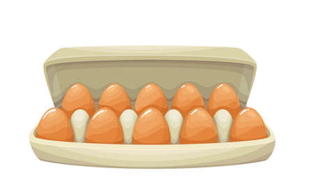 Egg box with ten brown chicken eggsのイラスト素材