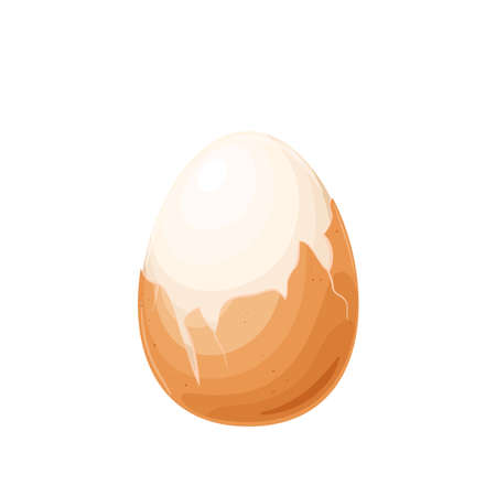Boiled chicken egg, half peeledのイラスト素材