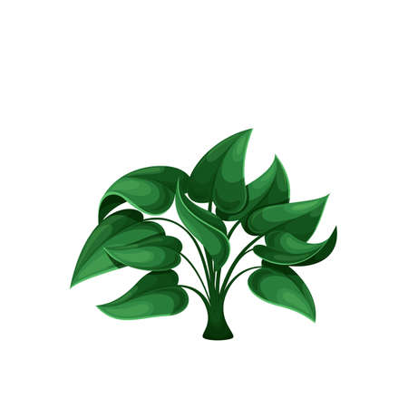 Green tropical plant bushのイラスト素材