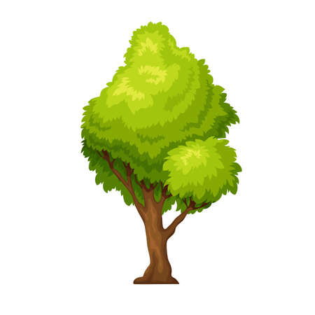 Green deciduous treeのイラスト素材