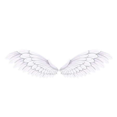 White Bird or Angel Wingsのイラスト素材