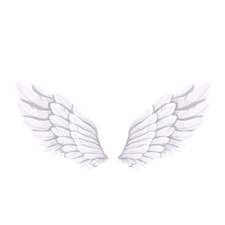 White Bird or Angel Wingsのイラスト素材