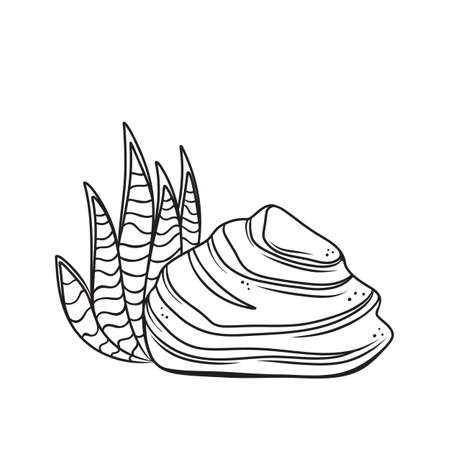 Outline Stone With Plantのイラスト素材 イメージマート