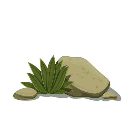 Stone, boulders and desert plantのイラスト素材