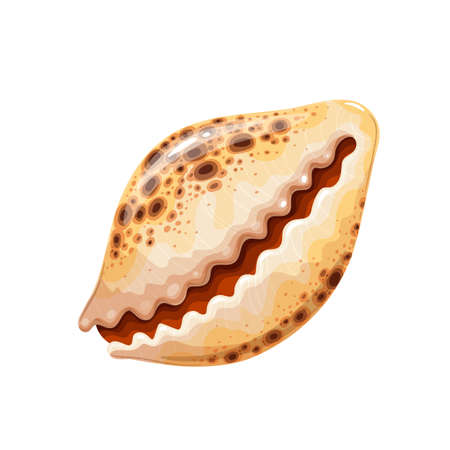 Seashell icon, underwater themeのイラスト素材