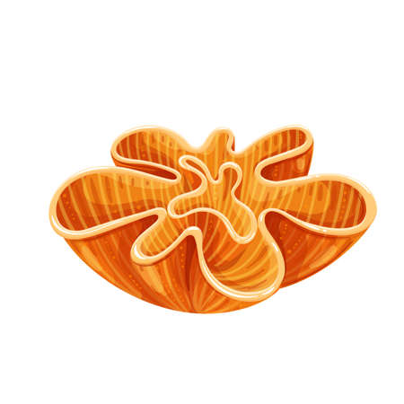 Coral, sea plantsのイラスト素材