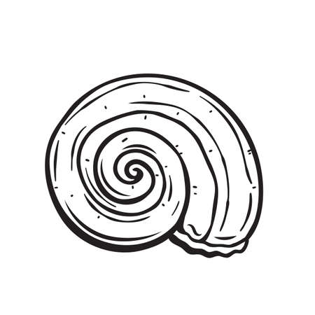 Hand drawn seashellのイラスト素材