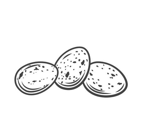 Three whole quail eggs outlineのイラスト素材