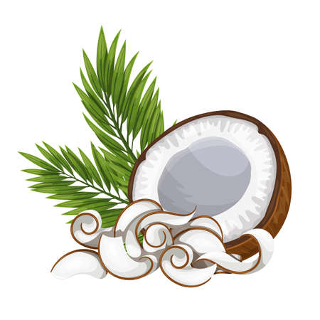 Coconut shavings and half coconutのイラスト素材