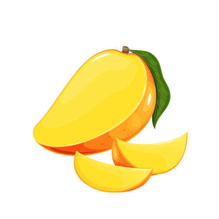 Half mango with leaf and ripe mango piecesのイラスト素材