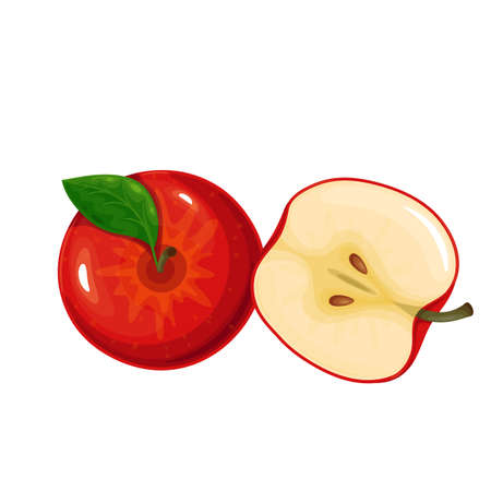 Red apple fruitのイラスト素材
