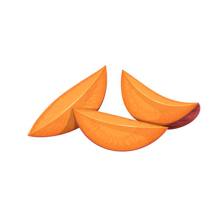 Sweet potato illustrationのイラスト素材