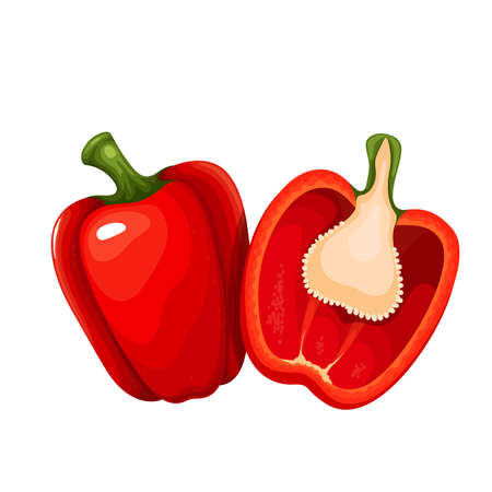 Red sweet pepper and half red bell pepperのイラスト素材