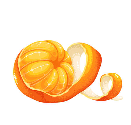 Peeled tangerine or mandarin fruit with twist skinのイラスト素材