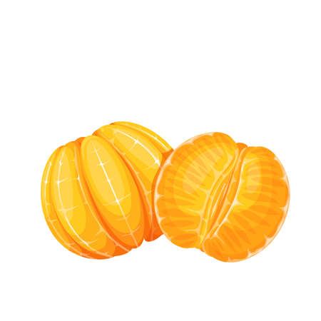 Peeled whole tangerine and half mandarinのイラスト素材