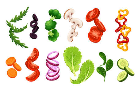 Flying or falling sliced vegetables and lettuceのイラスト素材
