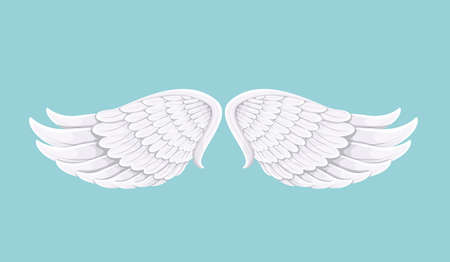 White bird or angel wingsのイラスト素材