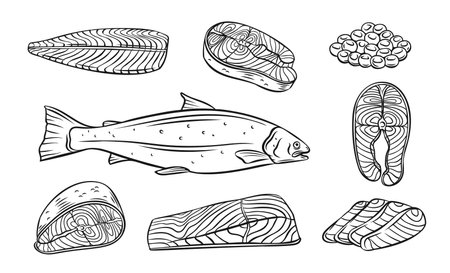 Salmon whole red fish outlineのイラスト素材