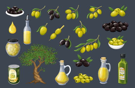 Green and black olivesのイラスト素材