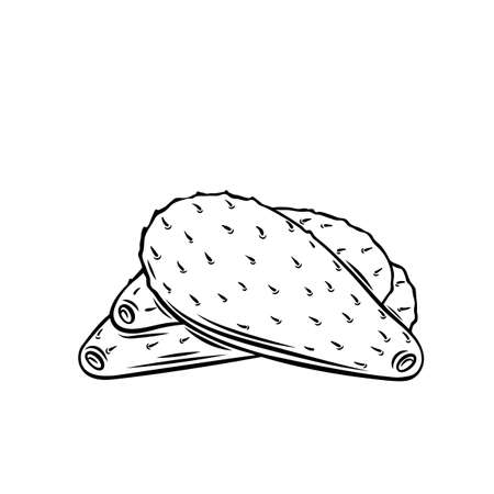 Green cactus leaf nopalesのイラスト素材