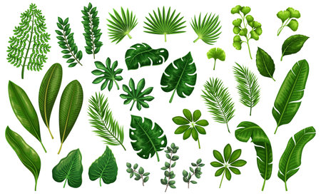 Tropical leavesのイラスト素材