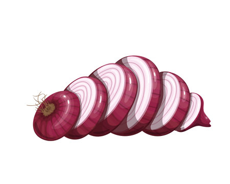 Sliced red onion vegetableのイラスト素材