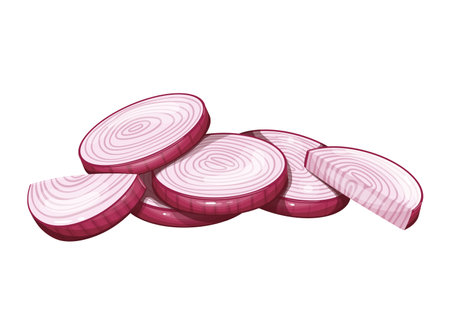 Slices of red onionのイラスト素材