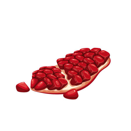 Pomegranate or garnet pieceのイラスト素材