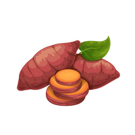 Batat or Yamのイラスト素材