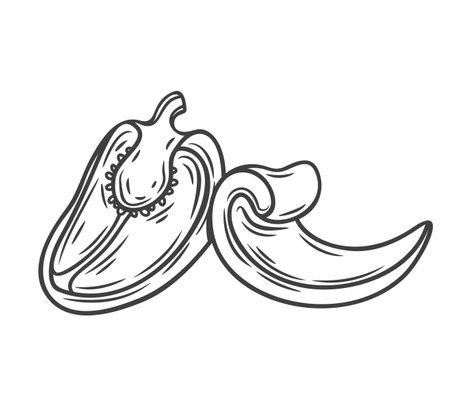 Chunks of bell pepper line icon vector illustration. Hand drawn outline chopped sweet paprika with seeds and stem, sliced vegetable, juicy ripe Bulgarian pepper cut into triangle pieces for cookingのイラスト素材