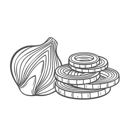Onion cut into half and slices line icon vector illustration. Hand drawn outline fresh raw onion cutting into round pieces, chopped bulb of fresh shallot for cooking vegetarian vitamin mealsのイラスト素材
