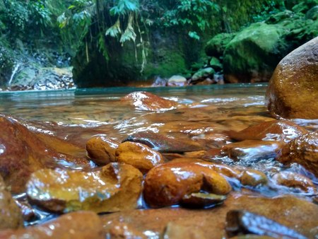 Fresh Water Flow