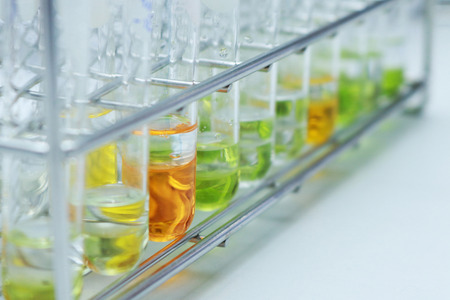 Test colour foodの写真素材