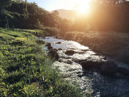 Mountain stream in tropical forest with morning and sunrise. Tranquil waterfall scenery in the natural park.の写真素材