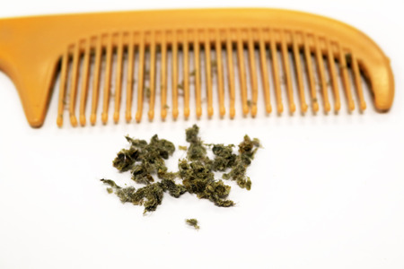 Close-up dandruff on the floor with dirty comb isolated on white background. Tinea capitis on head....