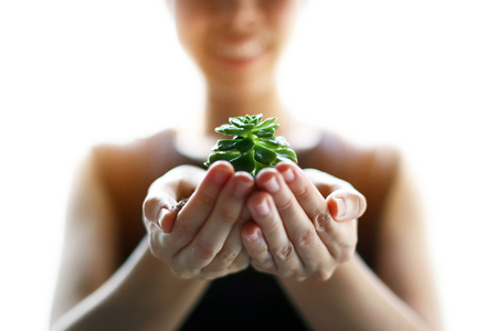 Women smile and her hand holding small tree with soil for planting. World environment day or earth day concept isolated in white background.の写真素材