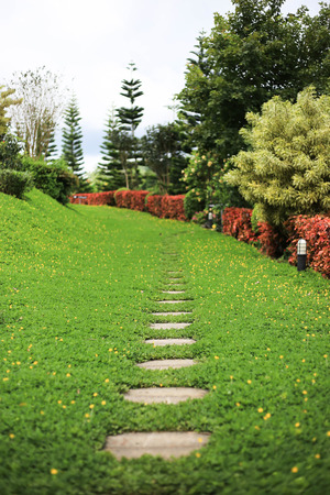 Pathway in the garden of house with stepping stones in the lawn and trees.の写真素材
