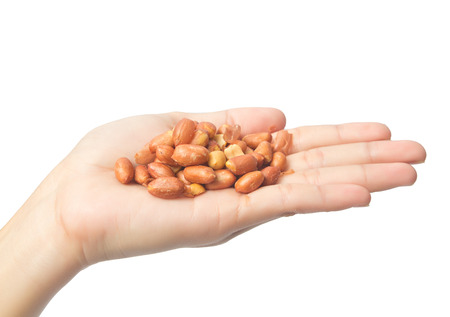 salted red skin peanuts in handの写真素材