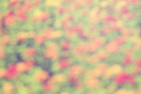 Blurred of colorful flowers as background (vintage style)の写真素材